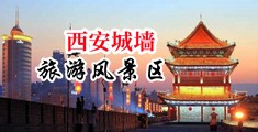女人骚逼一直被大鸡巴抽插中出视频中国陕西-西安城墙旅游风景区