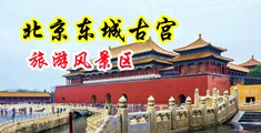 欧亚熟妇中国北京-东城古宫旅游风景区